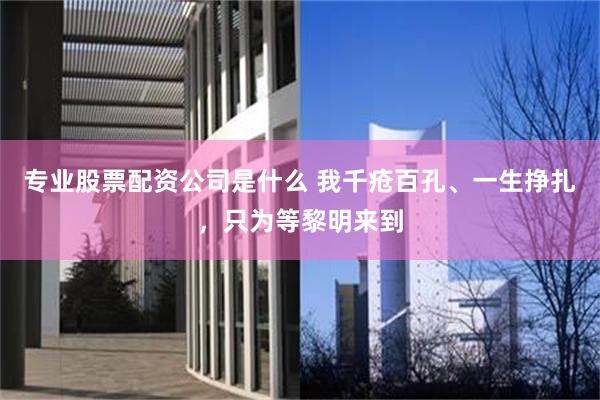 专业股票配资公司是什么 我千疮百孔、一生挣扎,只为等黎明来到