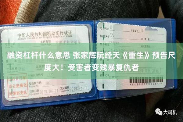 融资杠杆什么意思 张家辉阮经天《重生》预告尺度大！受害者变残暴复仇者