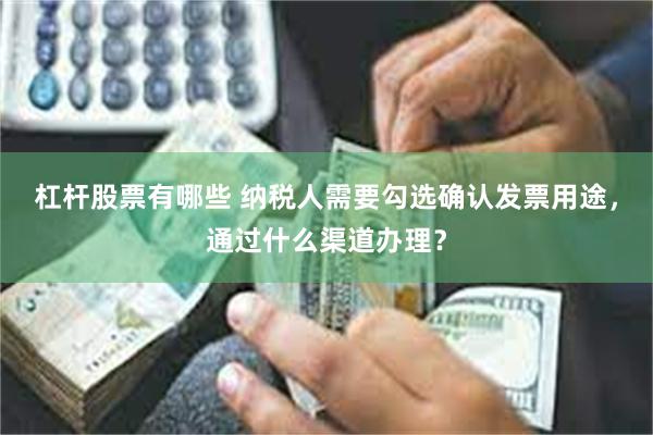 杠杆股票有哪些 纳税人需要勾选确认发票用途，通过什么渠道办理？