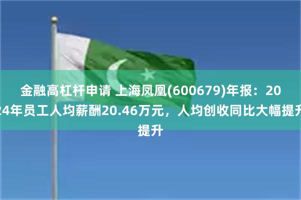金融高杠杆申请 上海凤凰(600679)年报：2024年员工人均薪酬20.46万元，人均创收同比大幅提升
