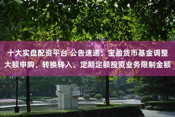 十大实盘配资平台 公告速递：宝盈货币基金调整大额申购、转换转入、定期定额投资业务限制金额