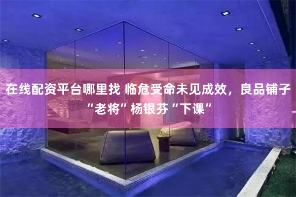 在线配资平台哪里找 临危受命未见成效，良品铺子“老将”杨银芬“下课”