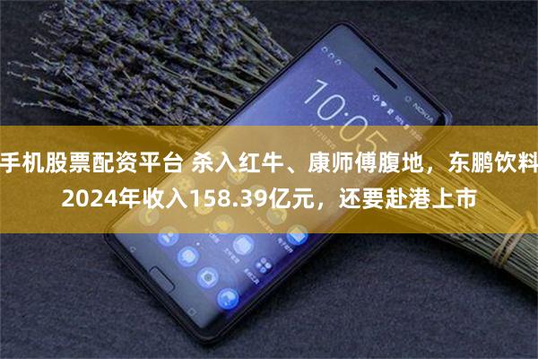 手机股票配资平台 杀入红牛、康师傅腹地，东鹏饮料2024年收入158.39亿元，还要赴港上市