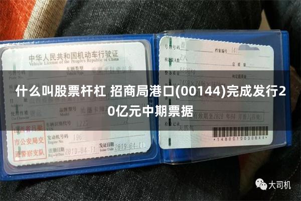 什么叫股票杆杠 招商局港口(00144)完成发行20亿元中期票据