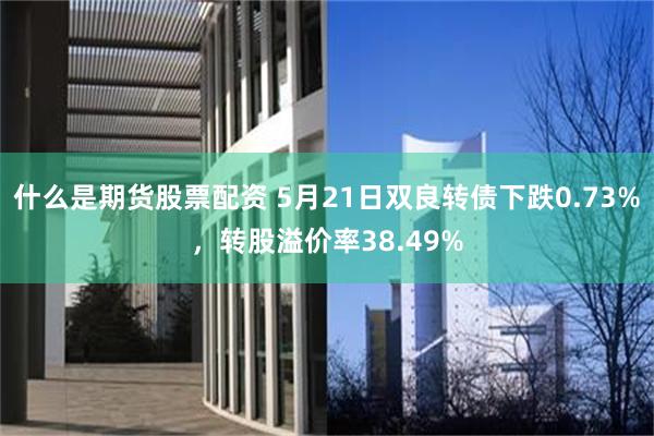 什么是期货股票配资 5月21日双良转债下跌0.73%，转股溢价率38.49%