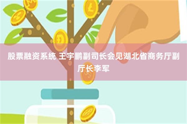 股票融资系统 王宇鹏副司长会见湖北省商务厅副厅长李军