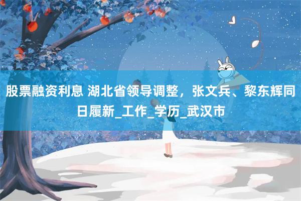 股票融资利息 湖北省领导调整，张文兵、黎东辉同日履新_工作_学历_武汉市