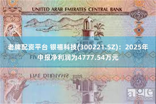 老牌配资平台 银禧科技(300221.SZ)：2025年中报净利润为4777.54万元