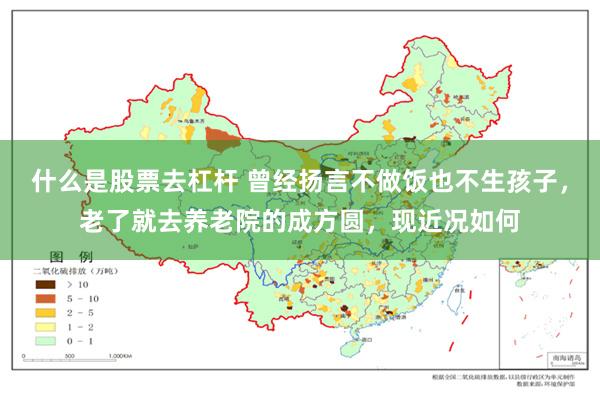 什么是股票去杠杆 曾经扬言不做饭也不生孩子，老了就去养老院的成方圆，现近况如何