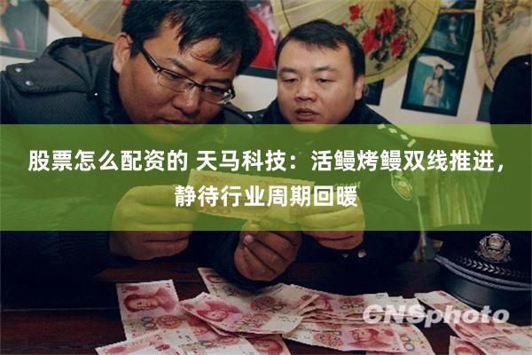 股票怎么配资的 天马科技：活鳗烤鳗双线推进，静待行业周期回暖