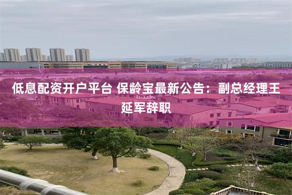 低息配资开户平台 保龄宝最新公告：副总经理王延军辞职
