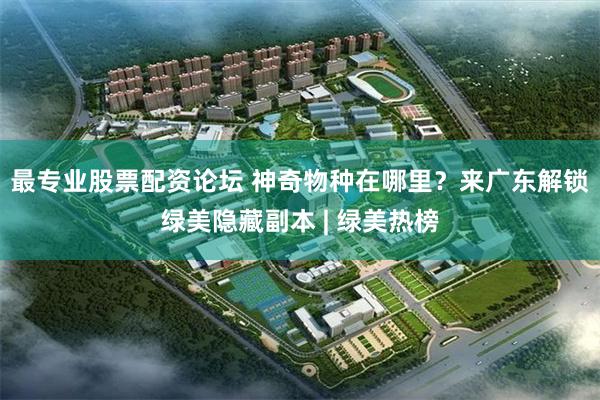 最专业股票配资论坛 神奇物种在哪里？来广东解锁绿美隐藏副本 | 绿美热榜