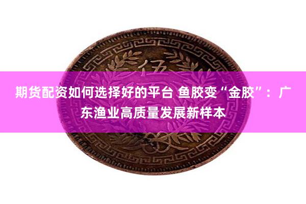期货配资如何选择好的平台 鱼胶变“金胶”：广东渔业高质量发展新样本