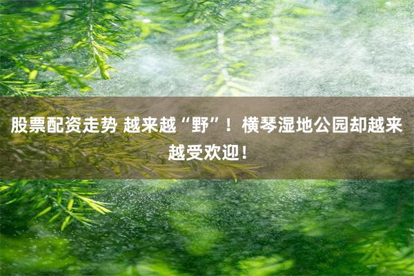 股票配资走势 越来越“野”！横琴湿地公园却越来越受欢迎！