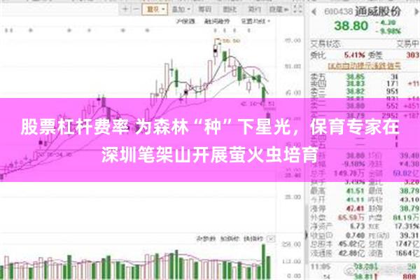 股票杠杆费率 为森林“种”下星光，保育专家在深圳笔架山开展萤火虫培育