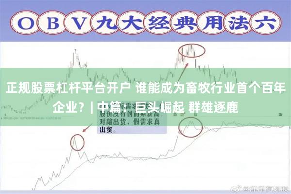 正规股票杠杆平台开户 谁能成为畜牧行业首个百年企业？| 中篇：巨头崛起 群雄逐鹿