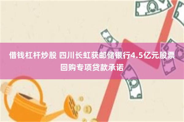 借钱杠杆炒股 四川长虹获邮储银行4.5亿元股票回购专项贷款承诺