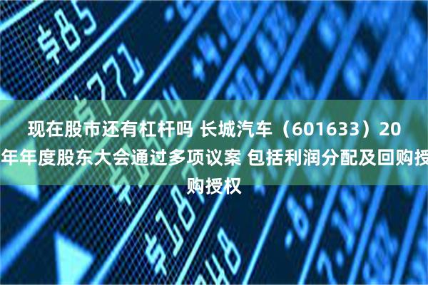现在股市还有杠杆吗 长城汽车（601633）2024年年度股东大会通过多项议案 包括利润分配及回购授权