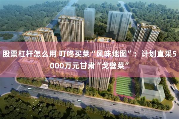 股票杠杆怎么用 叮咚买菜“风味地图”:计划直采5000万元甘肃“戈壁菜”