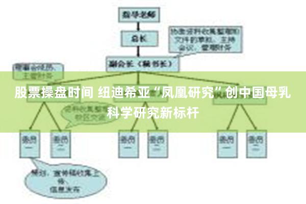 股票操盘时间 纽迪希亚“凤凰研究”创中国母乳科学研究新标杆