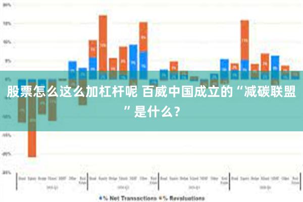 股票怎么这么加杠杆呢 百威中国成立的“减碳联盟”是什么？