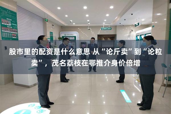 股市里的配资是什么意思 从“论斤卖”到“论粒卖”，茂名荔枝在鄂推介身价倍增