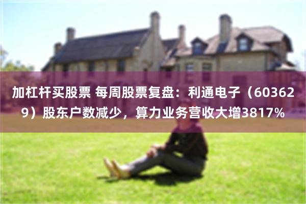 加杠杆买股票 每周股票复盘：利通电子（603629）股东户数减少，算力业务营收大增3817%