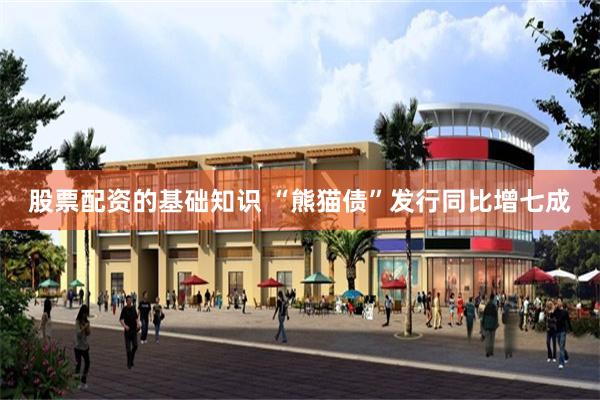 股票配资的基础知识 “熊猫债”发行同比增七成