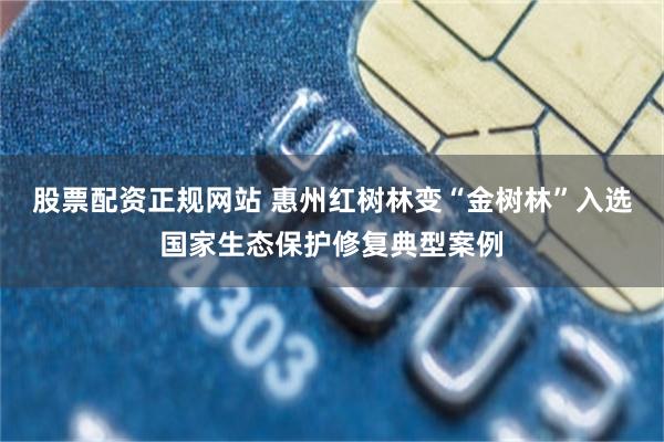 股票配资正规网站 惠州红树林变“金树林”入选国家生态保护修复典型案例