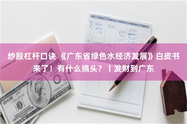 炒股杠杆口诀 《广东省绿色水经济发展》白皮书来了！有什么搞头？丨发财到广东