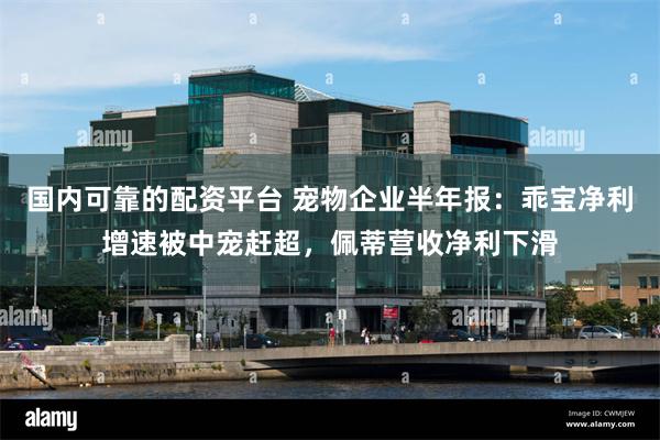 国内可靠的配资平台 宠物企业半年报:乖宝净利增速被中宠赶超,佩蒂营收净利下滑