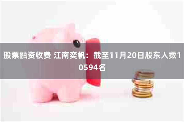 股票融资收费 江南奕帆：截至11月20日股东人数10594名