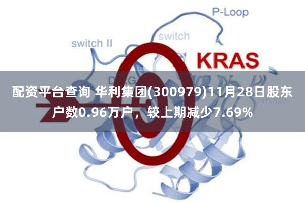 配资平台查询 华利集团(300979)11月28日股东户数0.96万户，较上期减少7.69%
