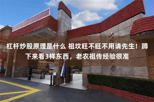 杠杆炒股原理是什么 祖坟旺不旺不用请先生!蹲下来看3样东西,老农祖传经验很准