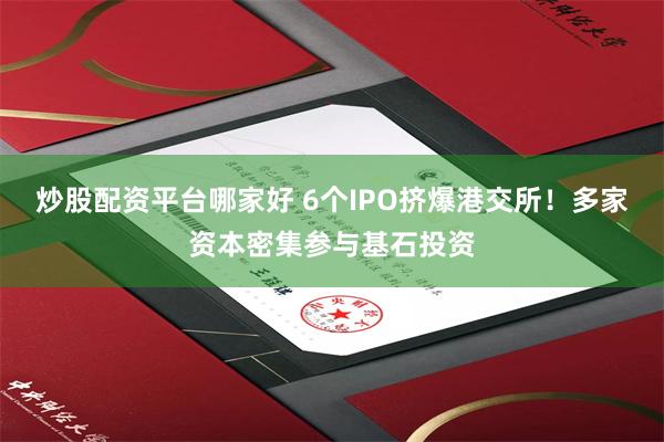 炒股配资平台哪家好 6个IPO挤爆港交所！多家资本密集参与基石投资