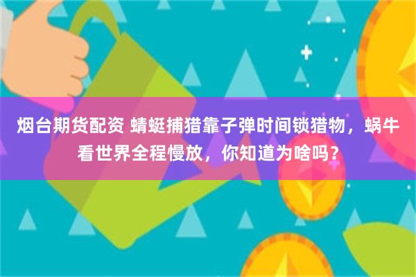 烟台期货配资 蜻蜓捕猎靠子弹时间锁猎物，蜗牛看世界全程慢放，你知道为啥吗？