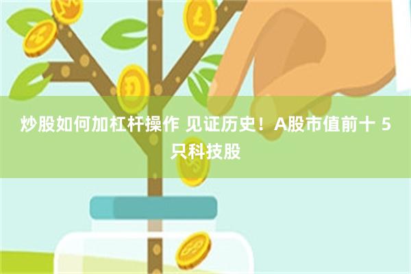 炒股如何加杠杆操作 见证历史!A股市值前十 5只科技股