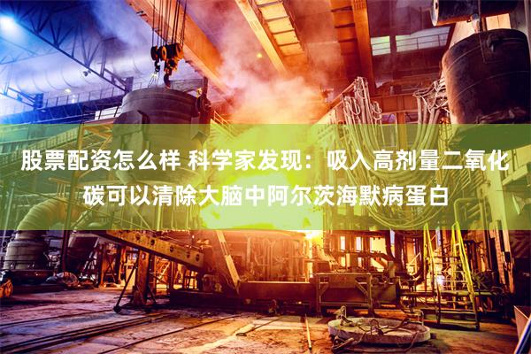 股票配资怎么样 科学家发现：吸入高剂量二氧化碳可以清除大脑中阿尔茨海默病蛋白