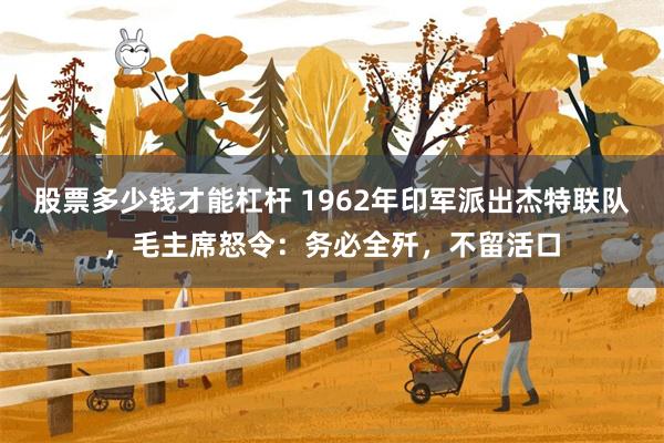 股票多少钱才能杠杆 1962年印军派出杰特联队，毛主席怒令：务必全歼，不留活口