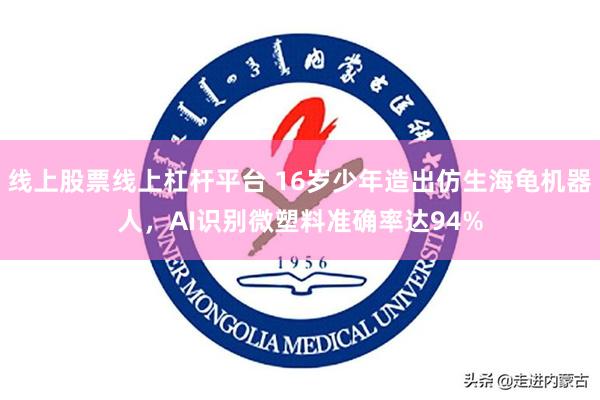 线上股票线上杠杆平台 16岁少年造出仿生海龟机器人，AI识别微塑料准确率达94%