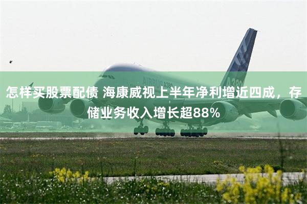 怎样买股票配债 海康威视上半年净利增近四成,存储业务收入增长超88%