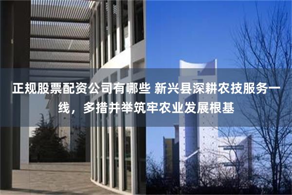 正规股票配资公司有哪些 新兴县深耕农技服务一线，多措并举筑牢农业发展根基