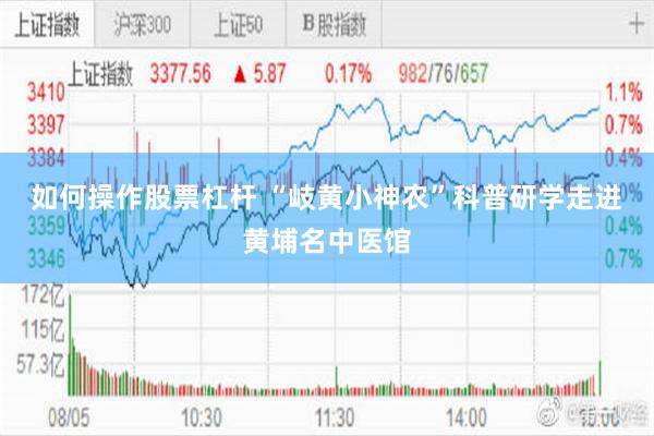 如何操作股票杠杆 “岐黄小神农”科普研学走进黄埔名中医馆