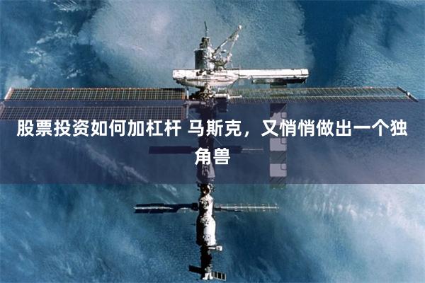 股票投资如何加杠杆 马斯克，又悄悄做出一个独角兽