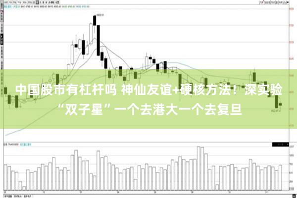 中国股市有杠杆吗 神仙友谊+硬核方法！深实验“双子星”一个去港大一个去复旦