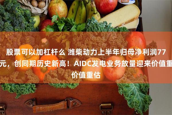 股票可以加杠杆么 潍柴动力上半年归母净利润77亿元,创同期历史新高!AIDC发电业务放量迎来价值重估