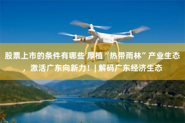 股票上市的条件有哪些 厚植“热带雨林”产业生态，激活广东向新力！| 解码广东经济生态