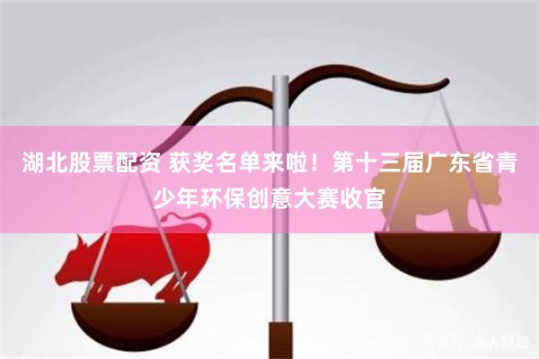 湖北股票配资 获奖名单来啦！第十三届广东省青少年环保创意大赛收官