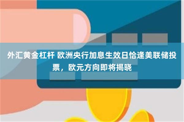外汇黄金杠杆 欧洲央行加息生效日恰逢美联储投票,欧元方向即将揭晓