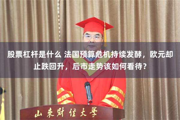 股票杠杆是什么 法国预算危机持续发酵，欧元却止跌回升，后市走势该如何看待？